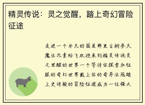 精灵传说：灵之觉醒，踏上奇幻冒险征途